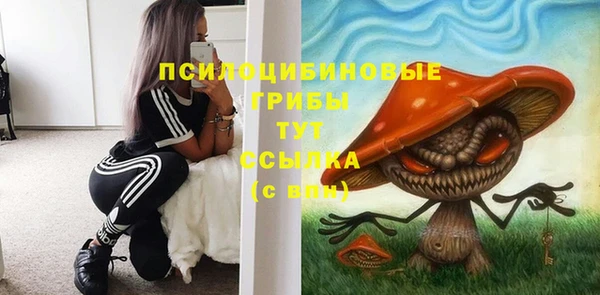 ECSTASY Остров