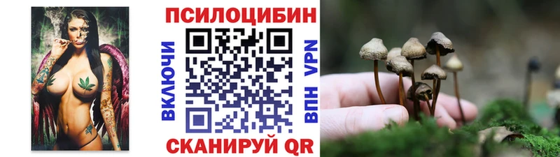 Псилоцибиновые грибы Psilocybine cubensis  где можно купить наркотик  Алдан 